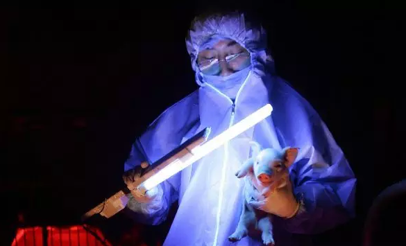 深紫外光殺菌作業執行現場